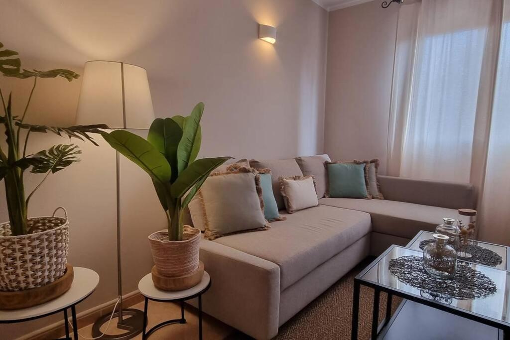 Appartamento Bouganville Con Terrazza E Piscina コラレホ エクステリア 写真
