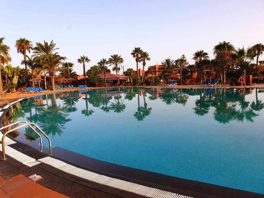 Appartamento Bouganville Con Terrazza E Piscina コラレホ エクステリア 写真