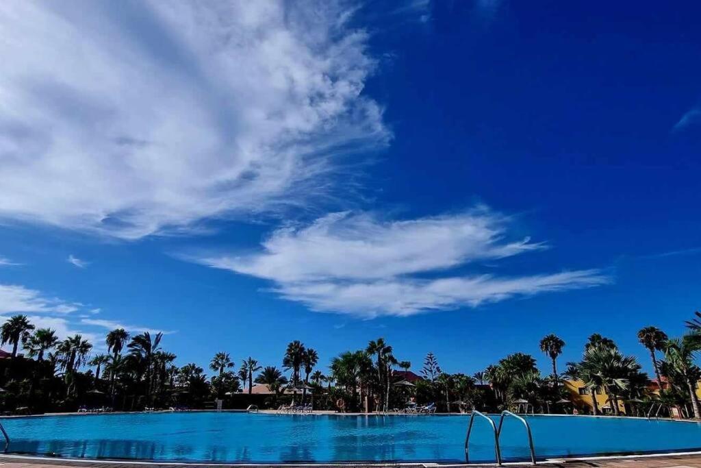 Appartamento Bouganville Con Terrazza E Piscina コラレホ エクステリア 写真